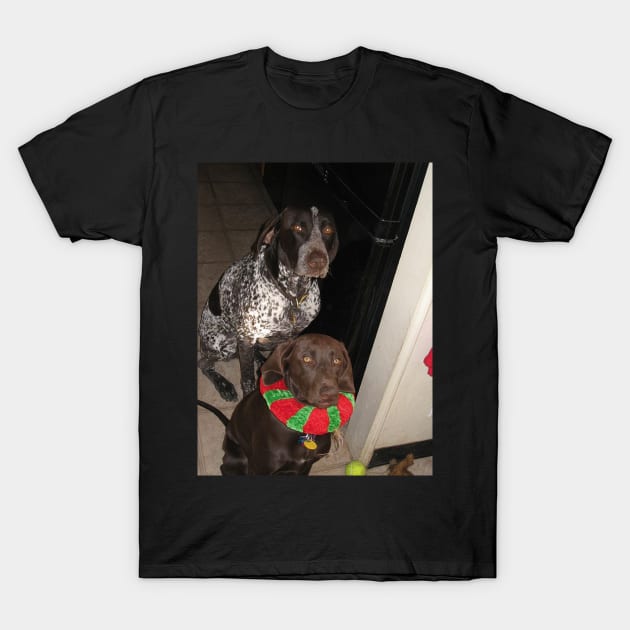 German shorthaired pointer shirt cheap